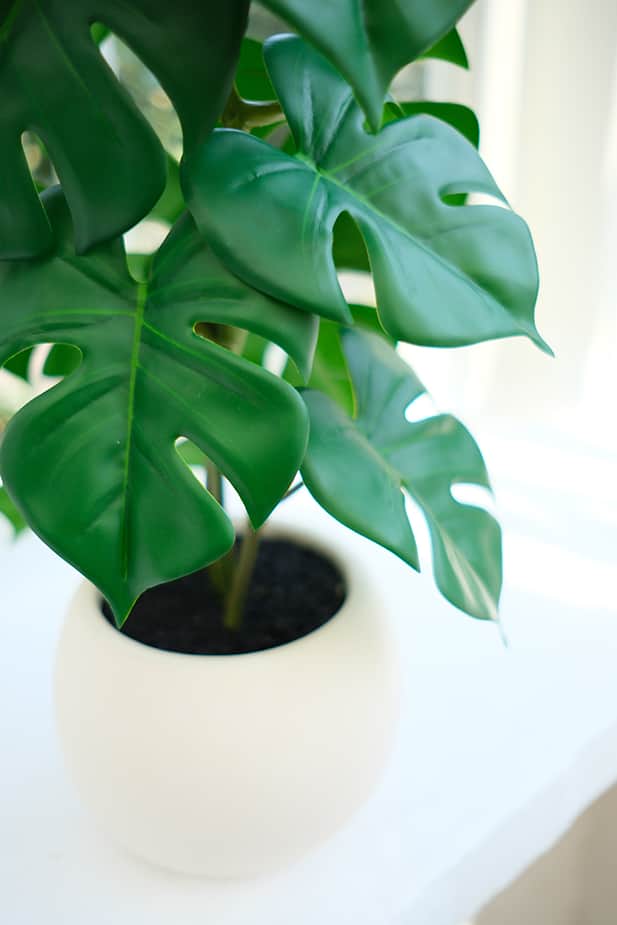 Artificial Plants