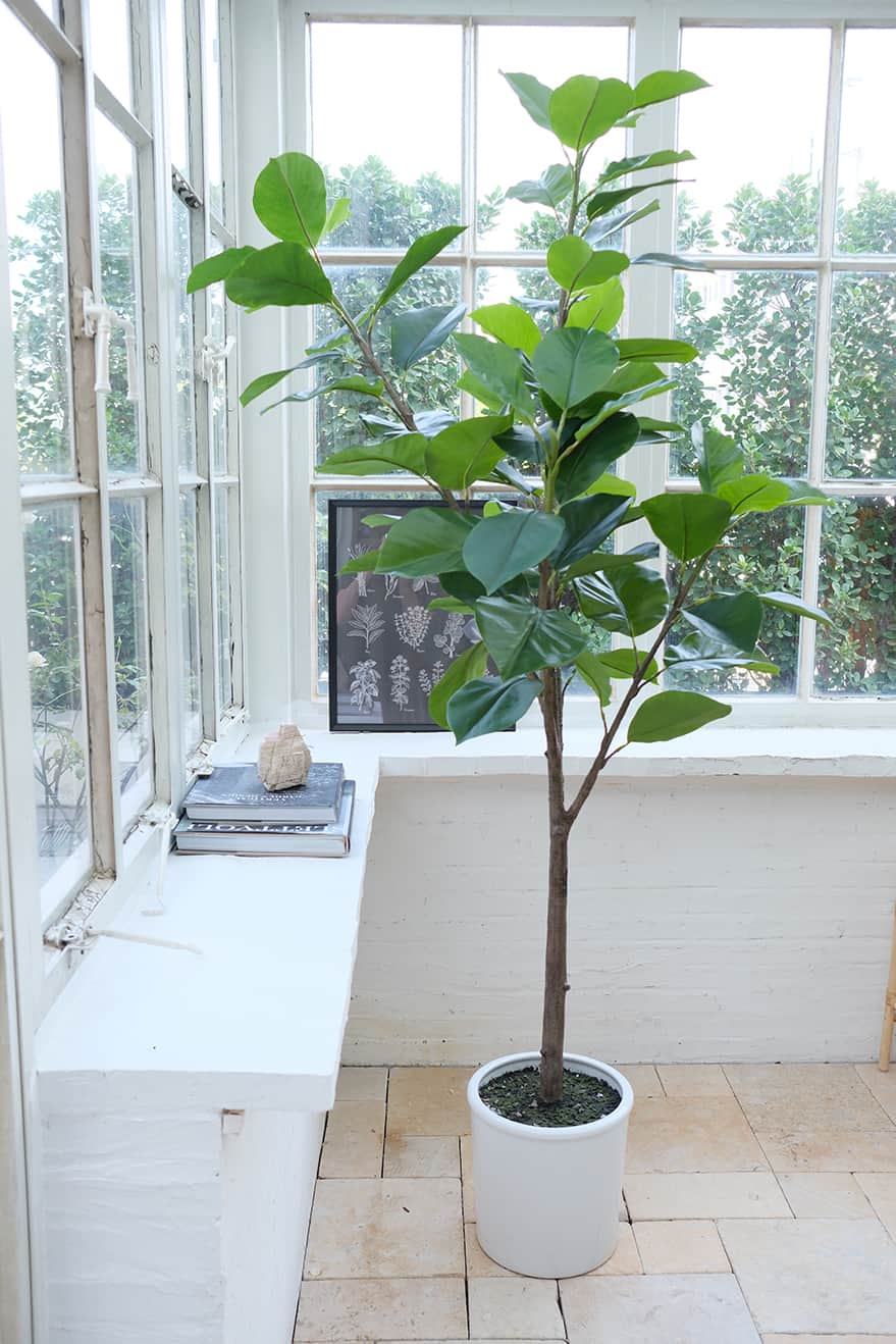 Indoor Artificial Trees