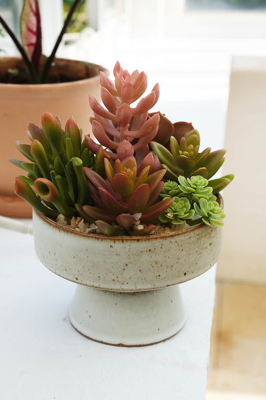 Artificial Succulents
