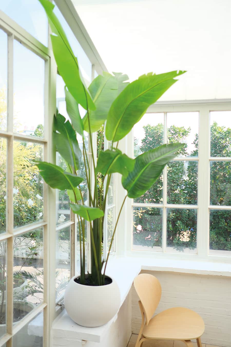 Large Artificial Plants