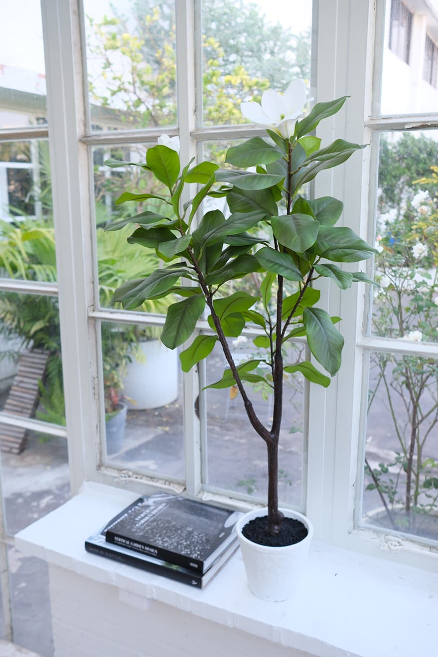 Blooming Plants Product 2