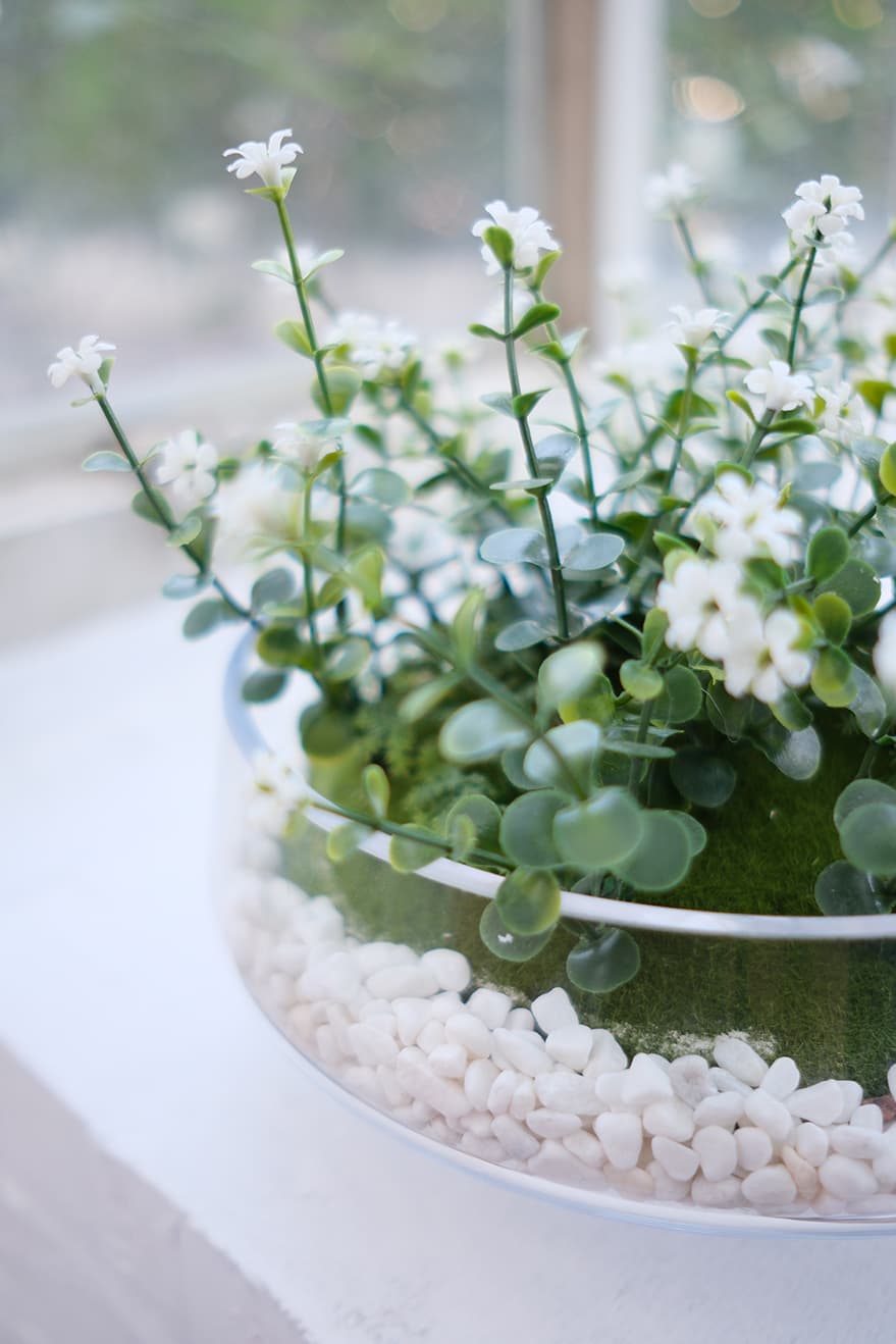 Blooming Plants Product 4