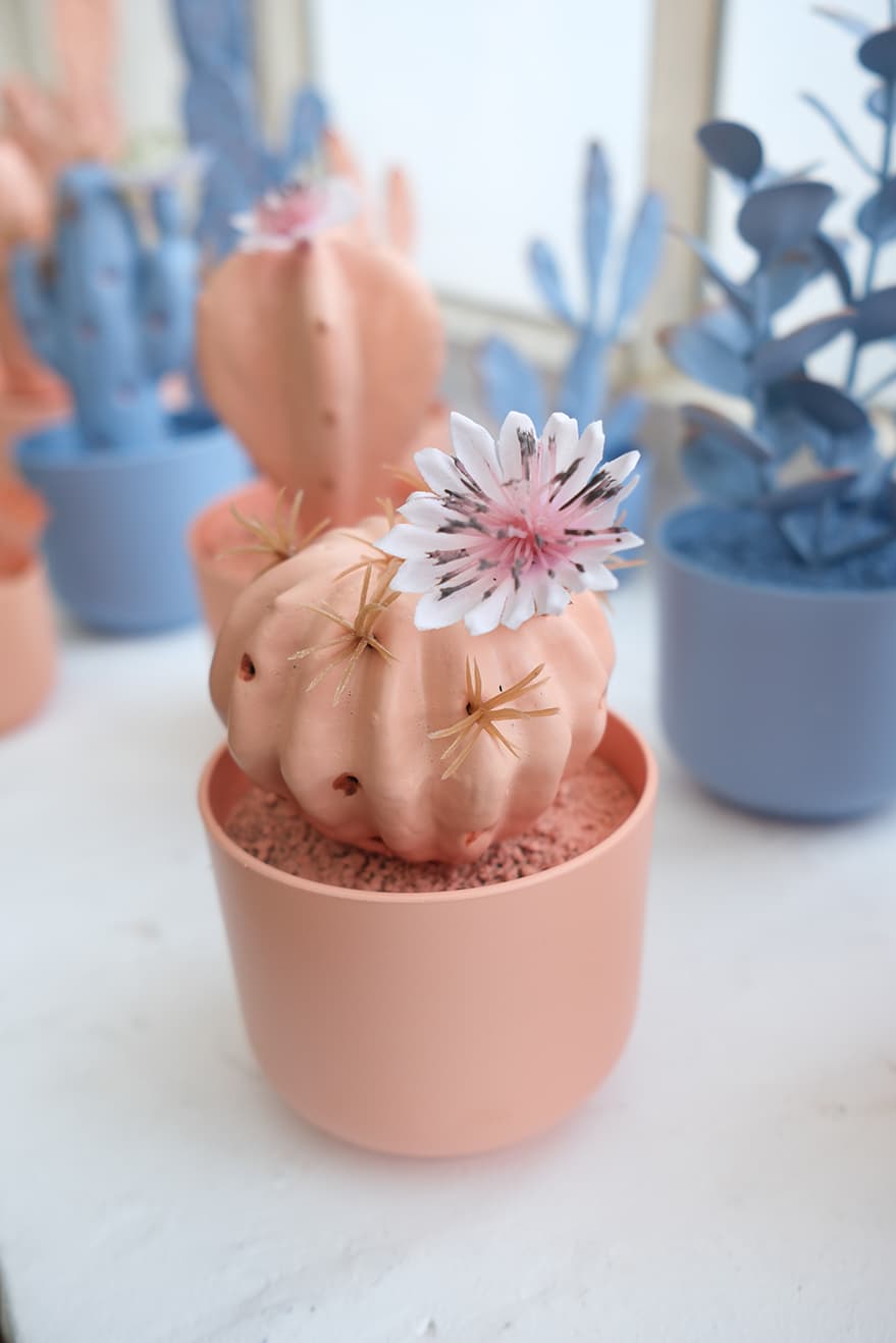 Novelty Plants Product 3