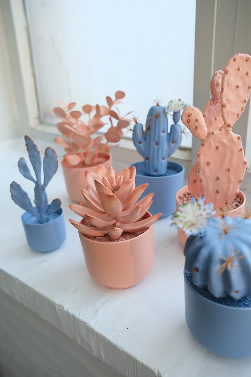 Novelty Plants Product 4