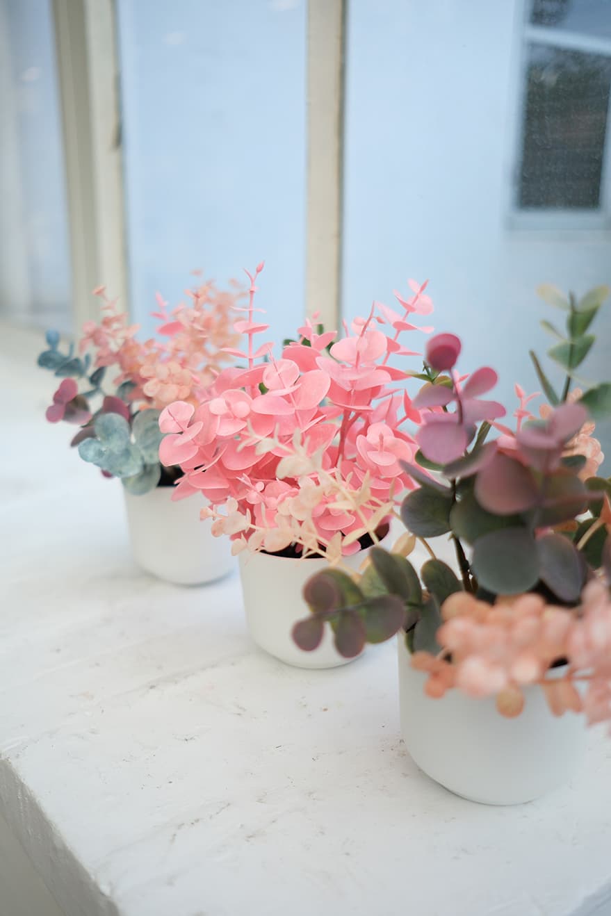 Novelty Plants Product 7