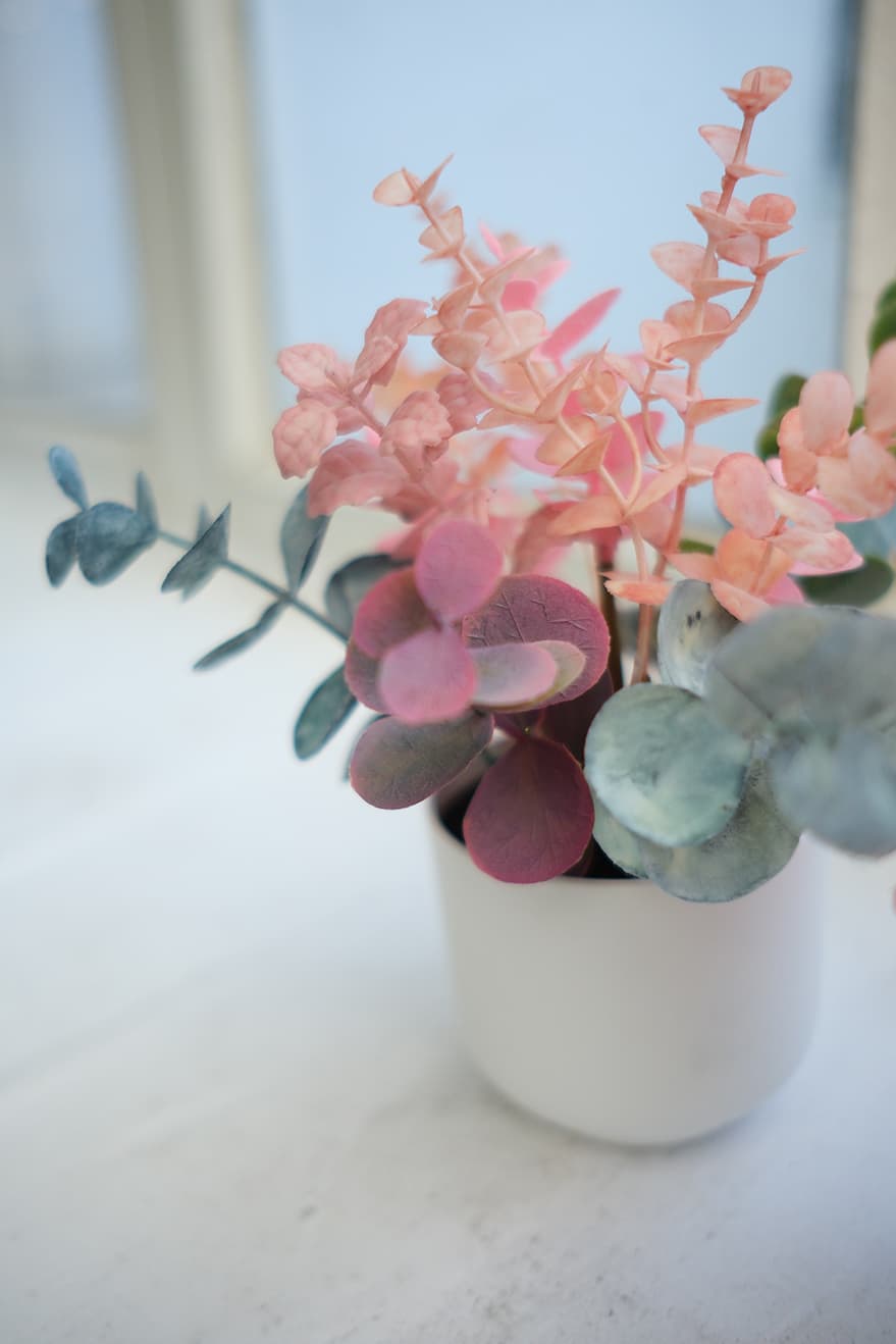 Novelty Plants Product 8