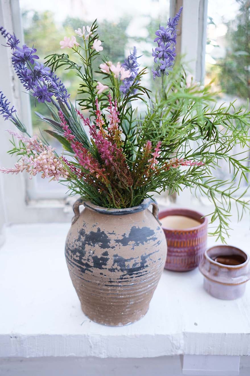 Garden & Herb Plants Product 8