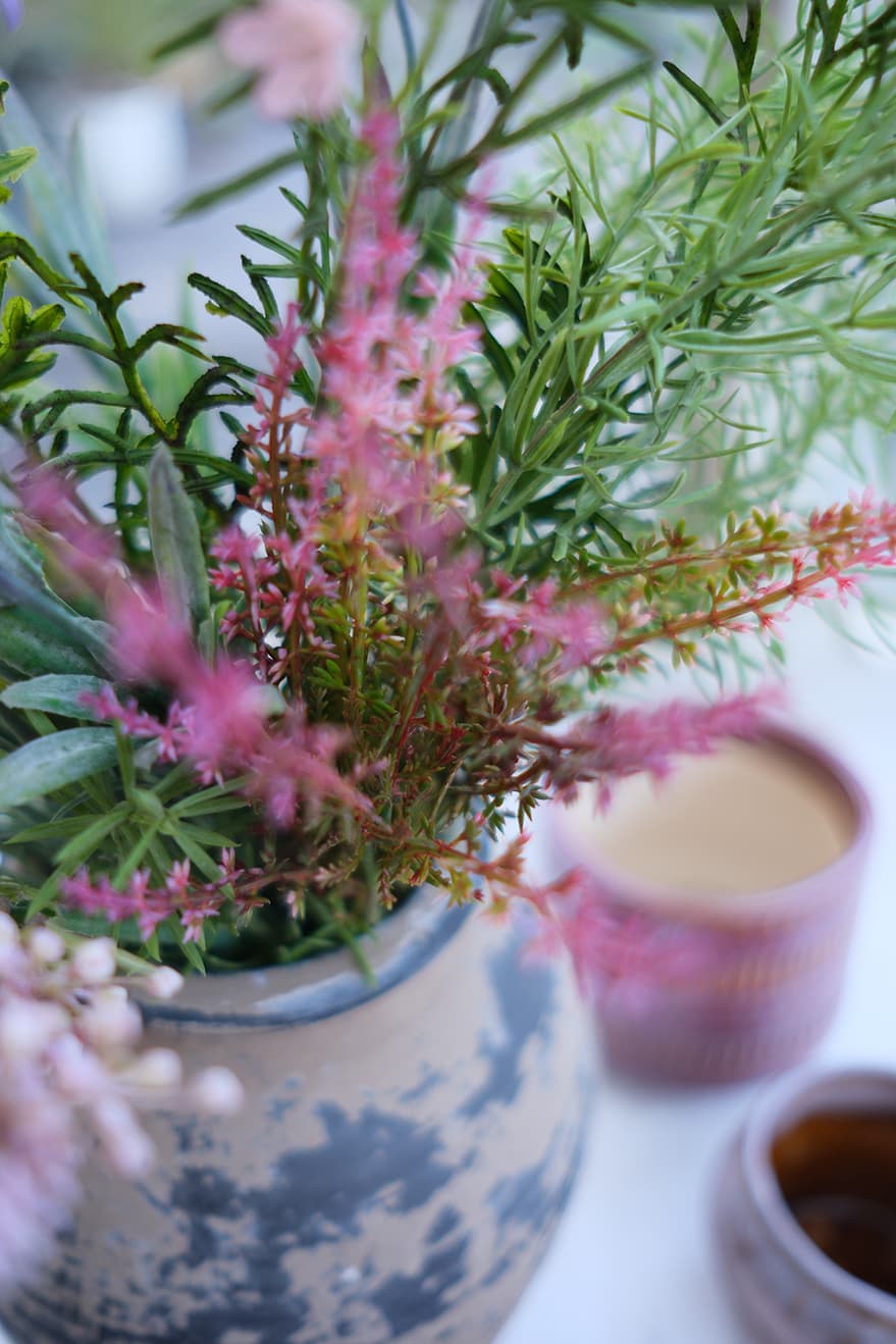 Garden & Herb Plants Product 9