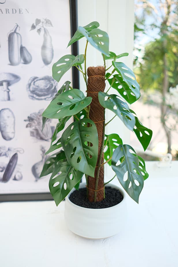 Artificial Plants Product 2