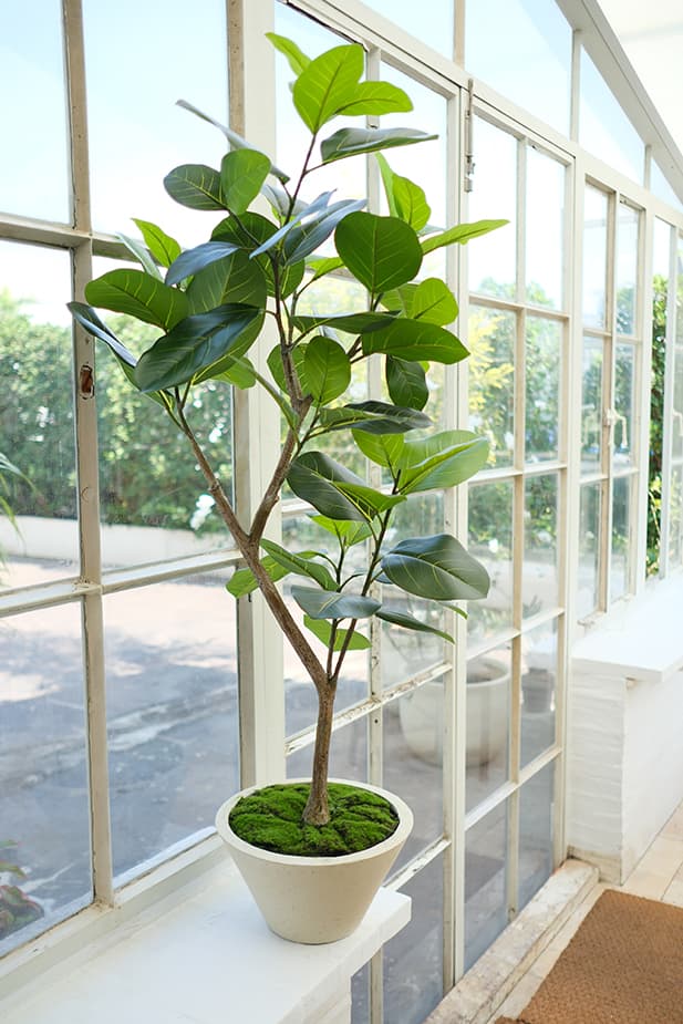 Artificial Plants Product 3