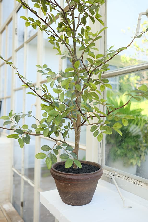 Artificial Plants Product 4