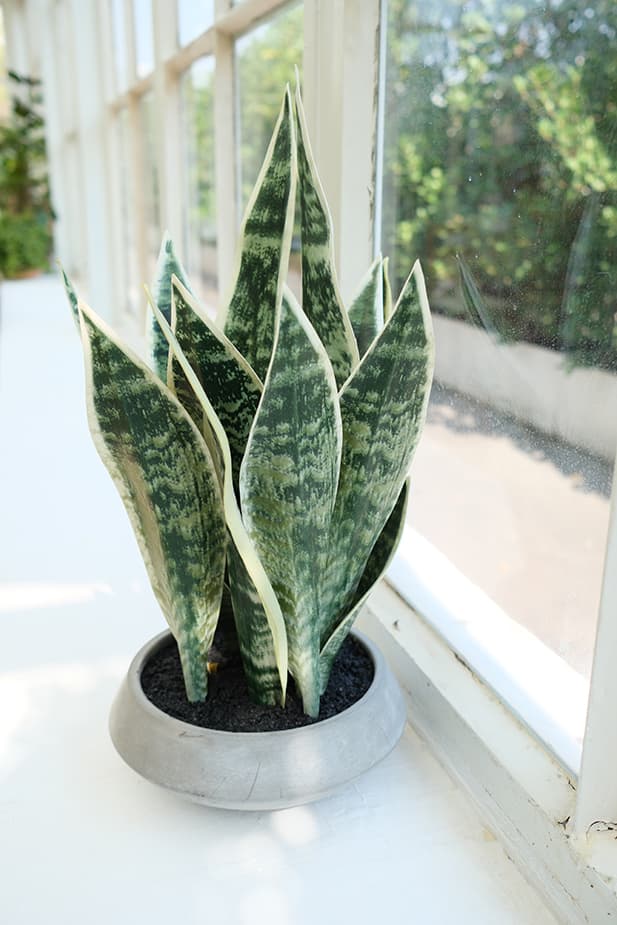 Artificial Plants Product 6