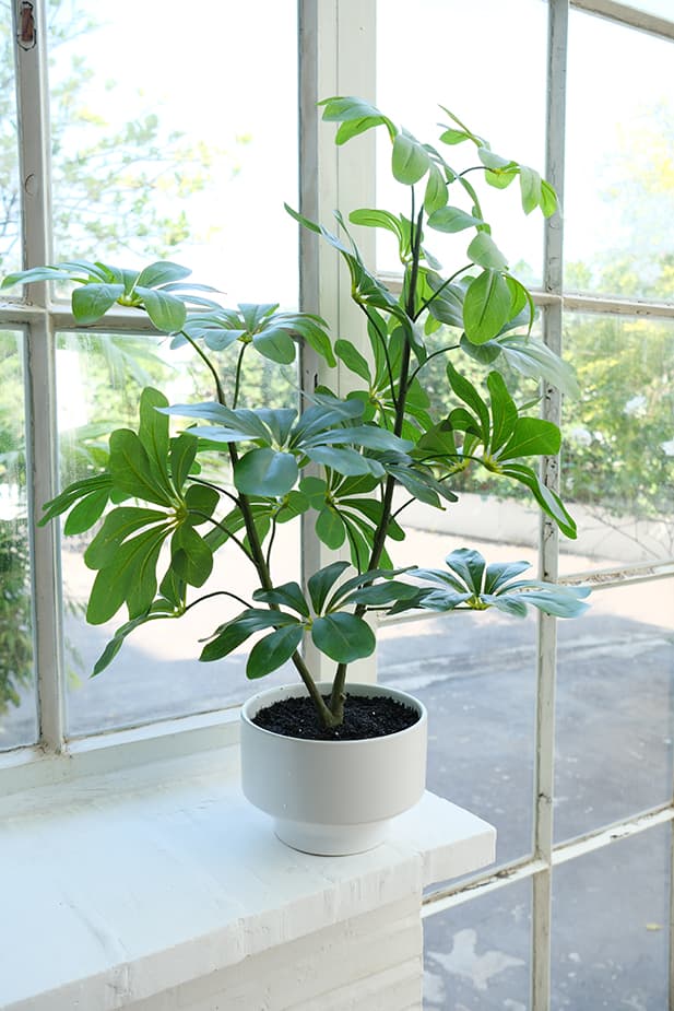 Artificial Plants Product 7