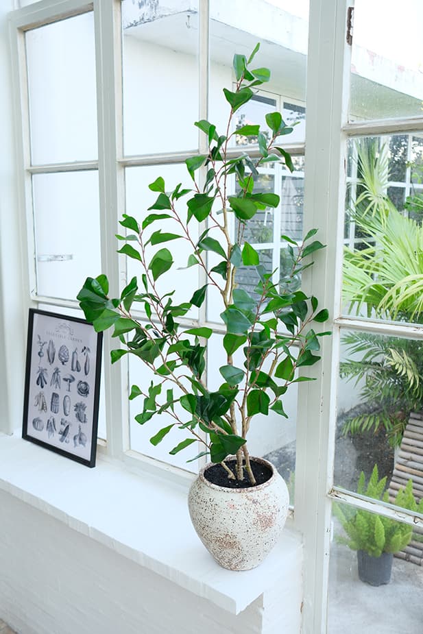 Artificial Plants Product 8