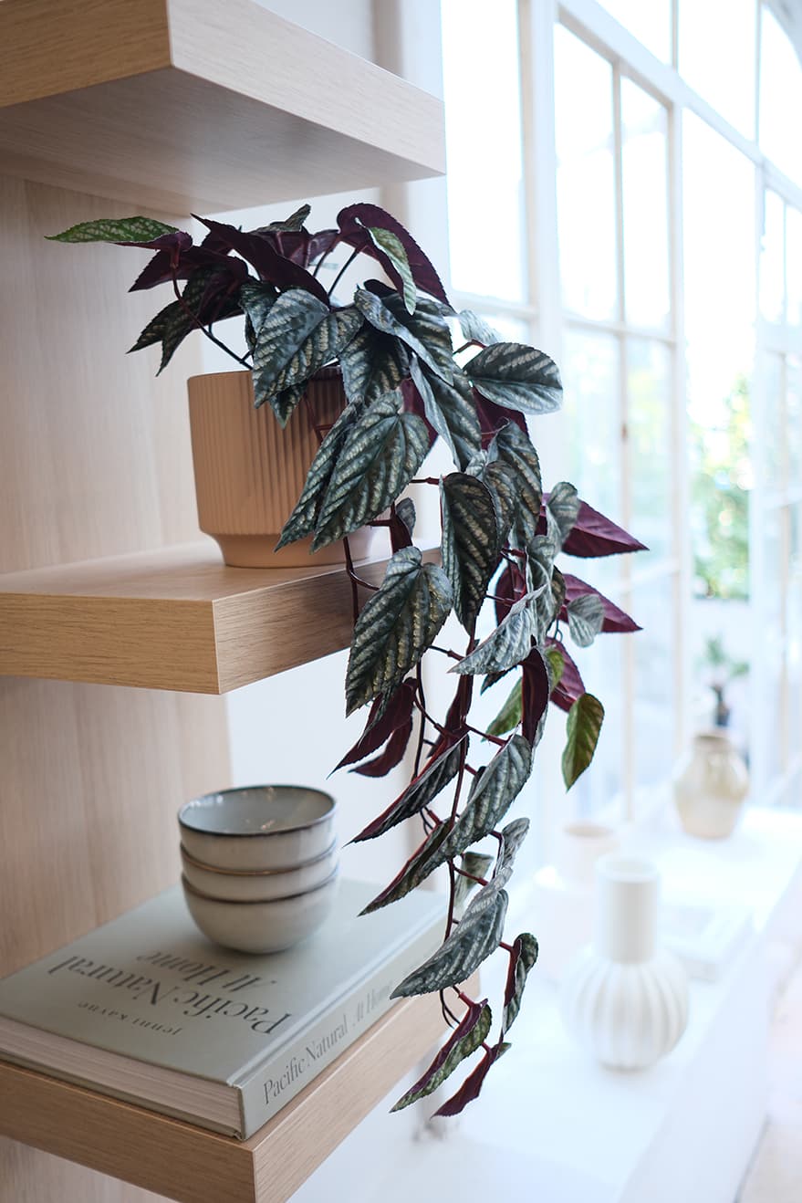 Hanging Plants Product 11