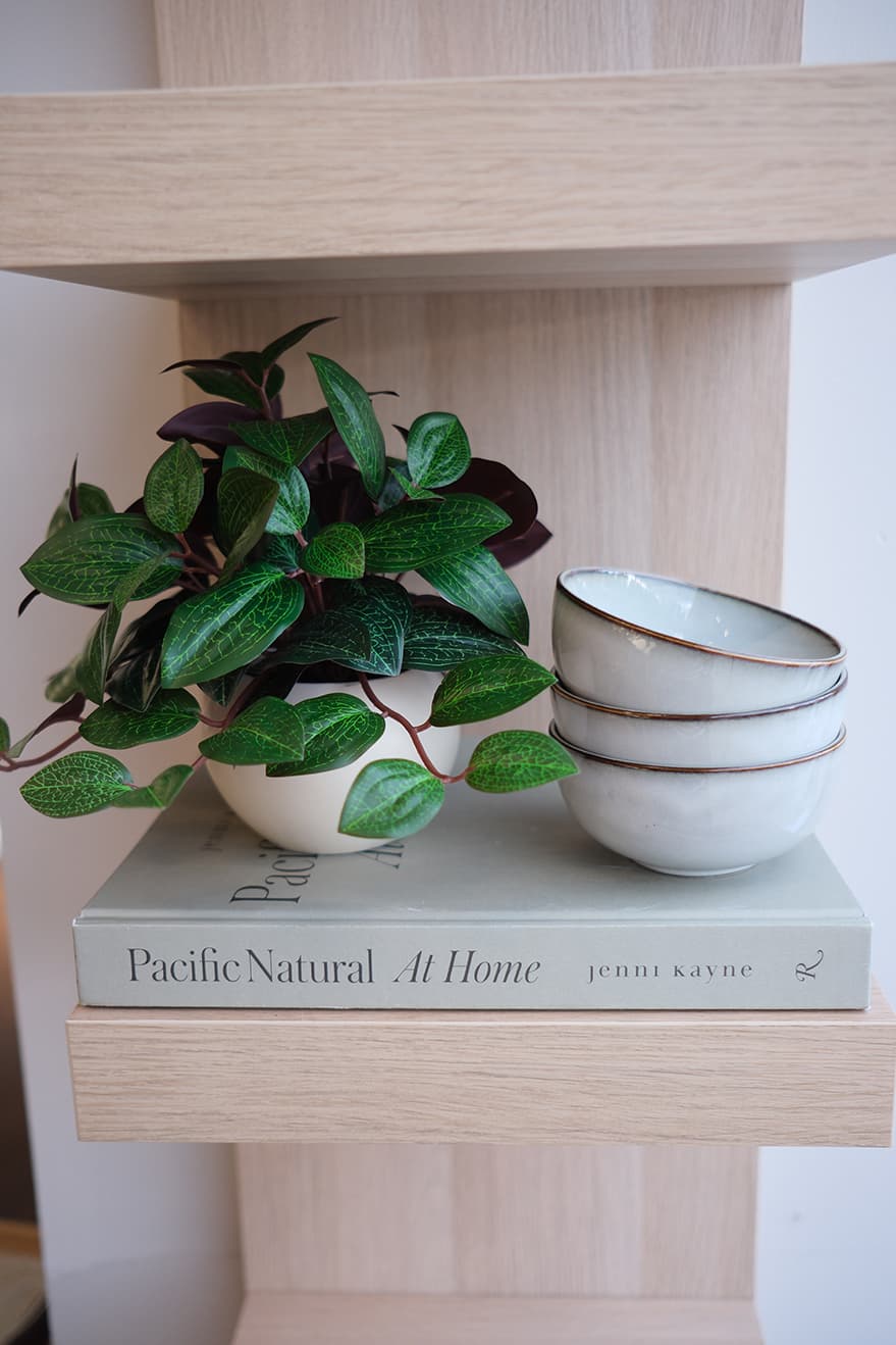 Hanging Plants Product 12