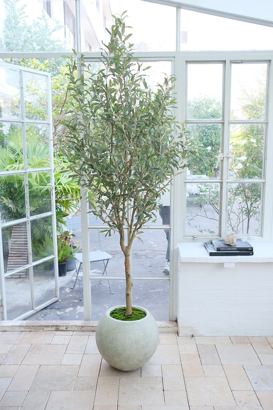 Indoor Artificial Trees Product 2