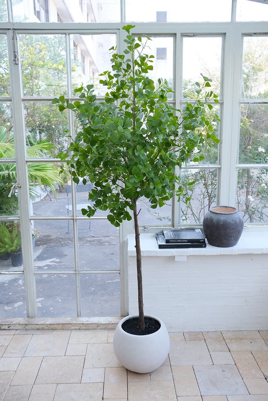 Indoor Artificial Trees Product 3