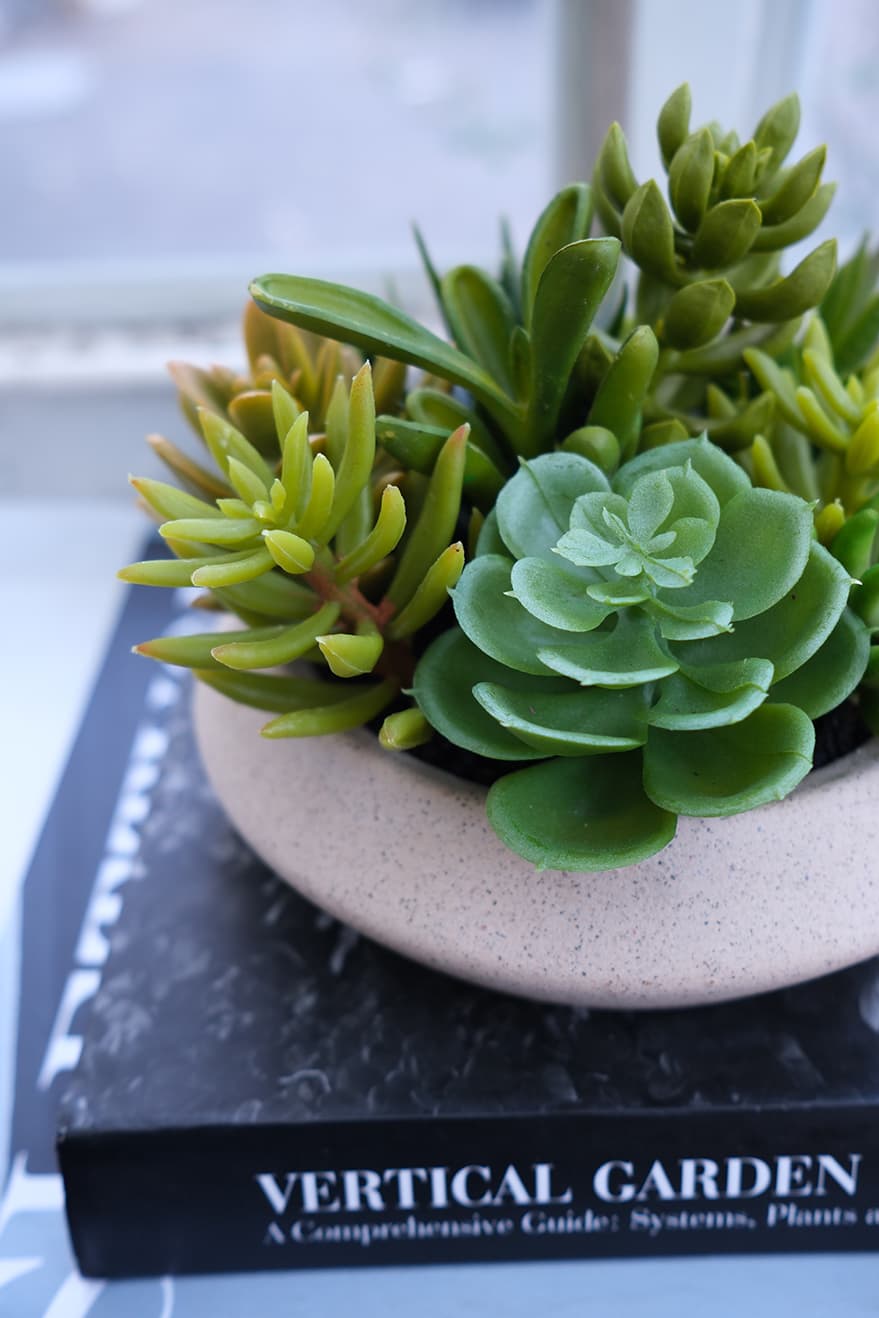 Artificial Succulents Product 10