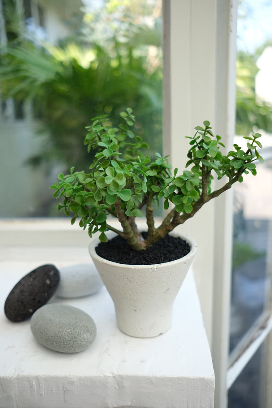 Artificial Succulents Product 12