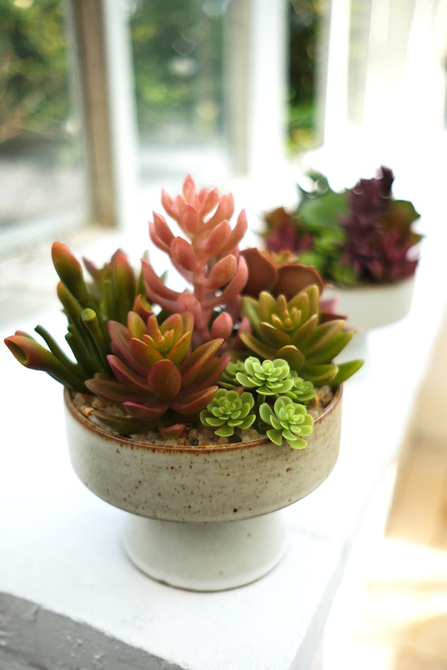 Artificial Succulents Product 2