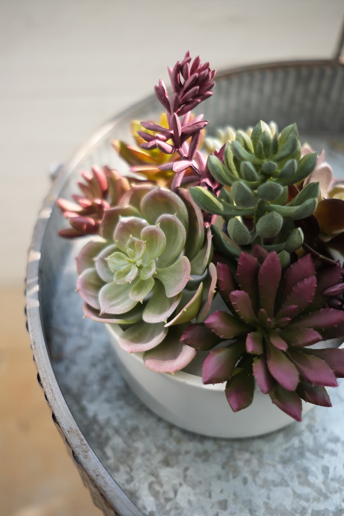 Artificial Succulents Product 3