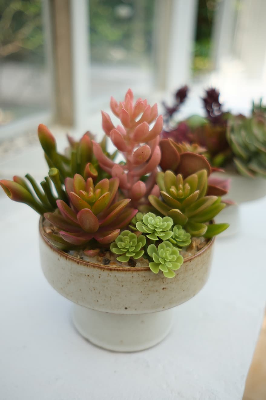Artificial Succulents Product 4