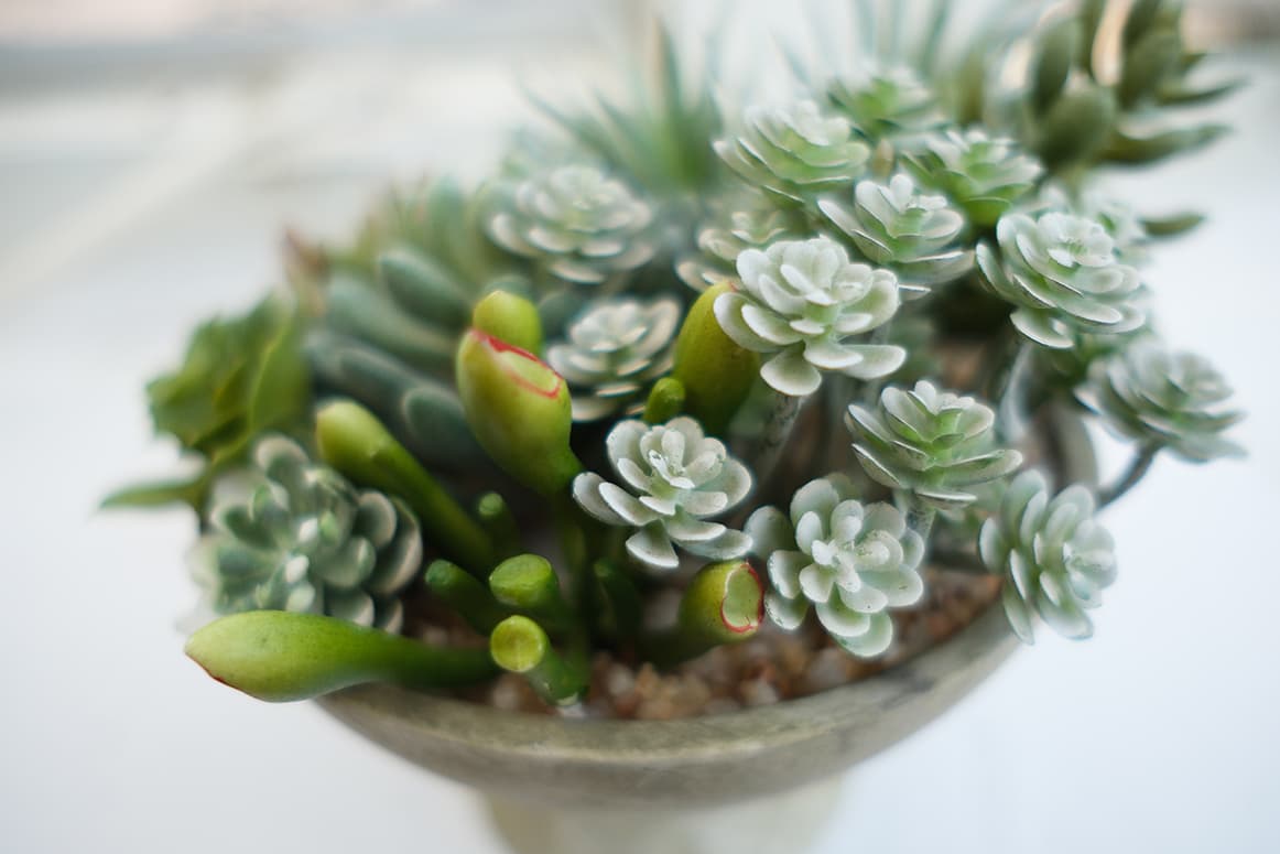 Artificial Succulents Product 7