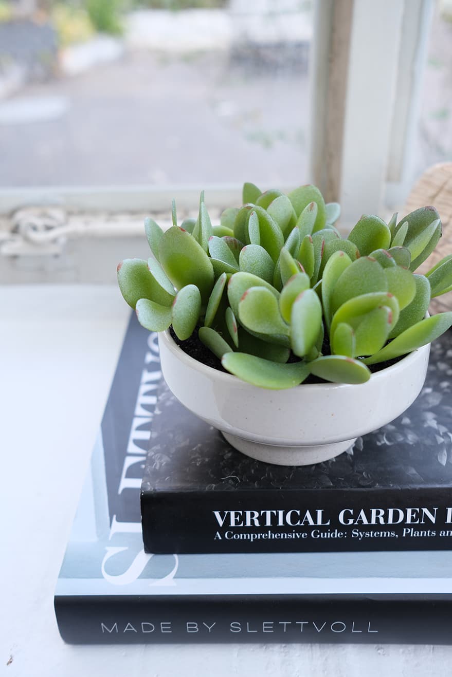 Artificial Succulents Product 8