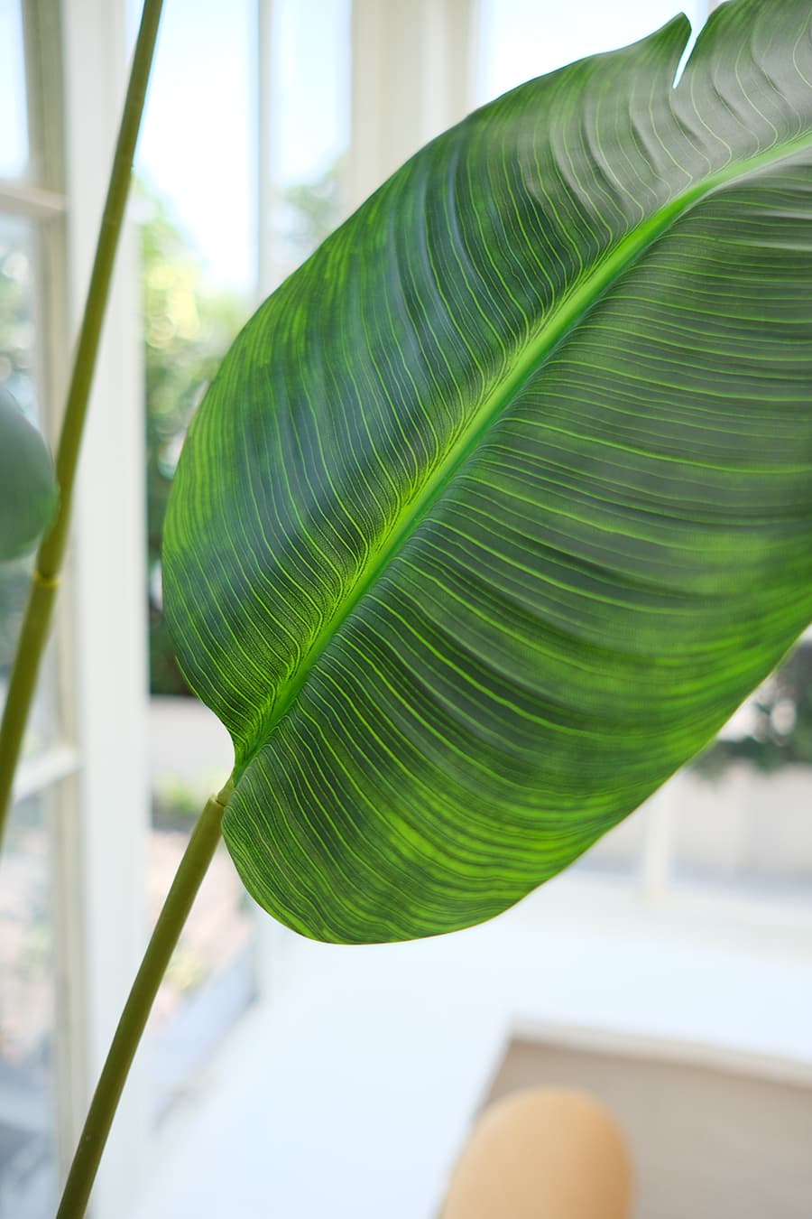 Large Artificial Plants Product 2