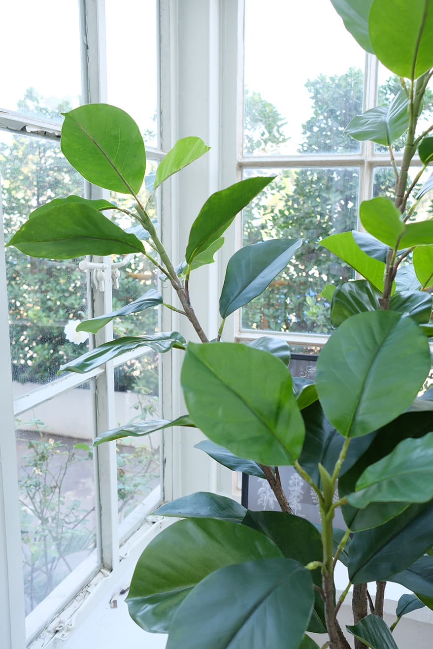 Large Artificial Plants Product 5