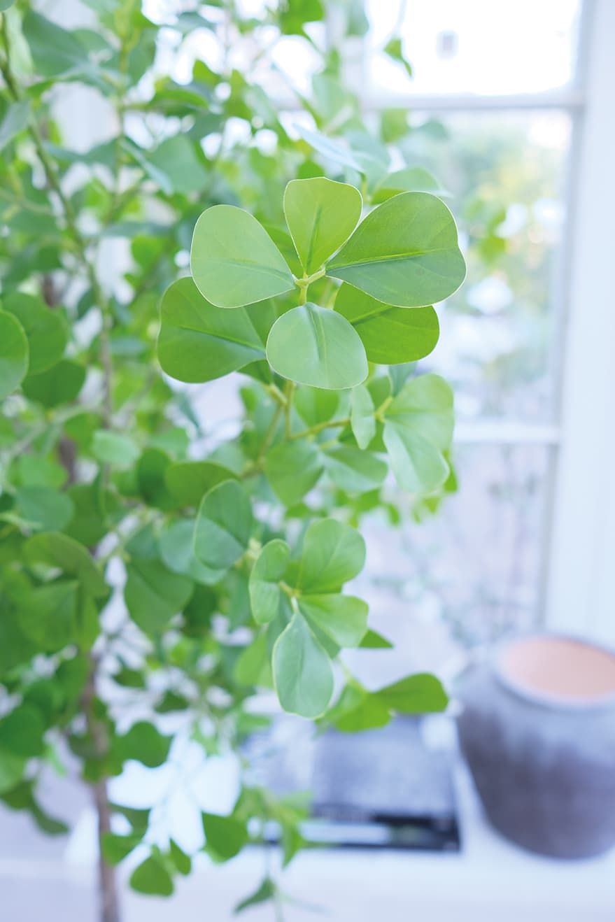 Large Artificial Plants Product 7