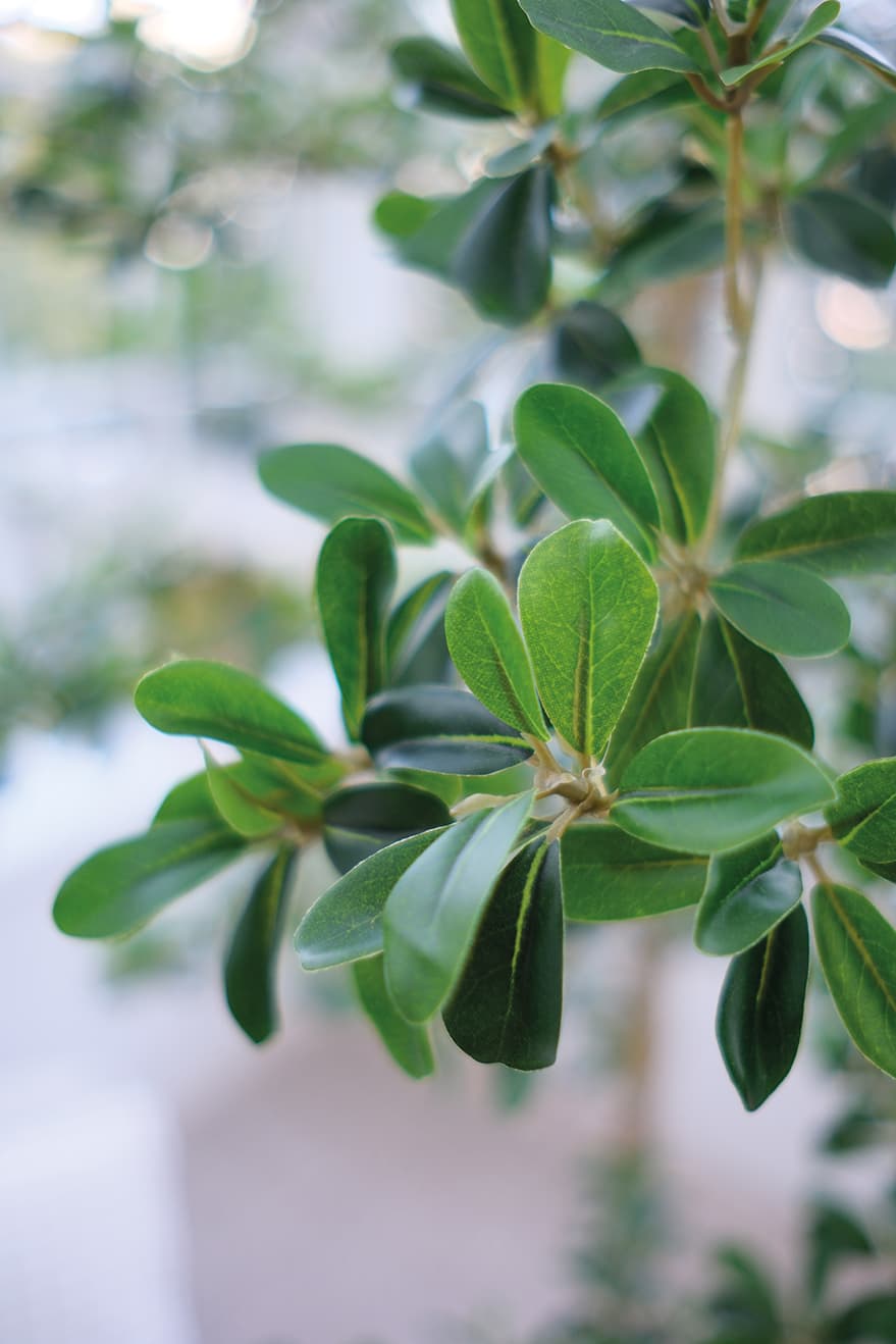 Large Artificial Plants Product 8