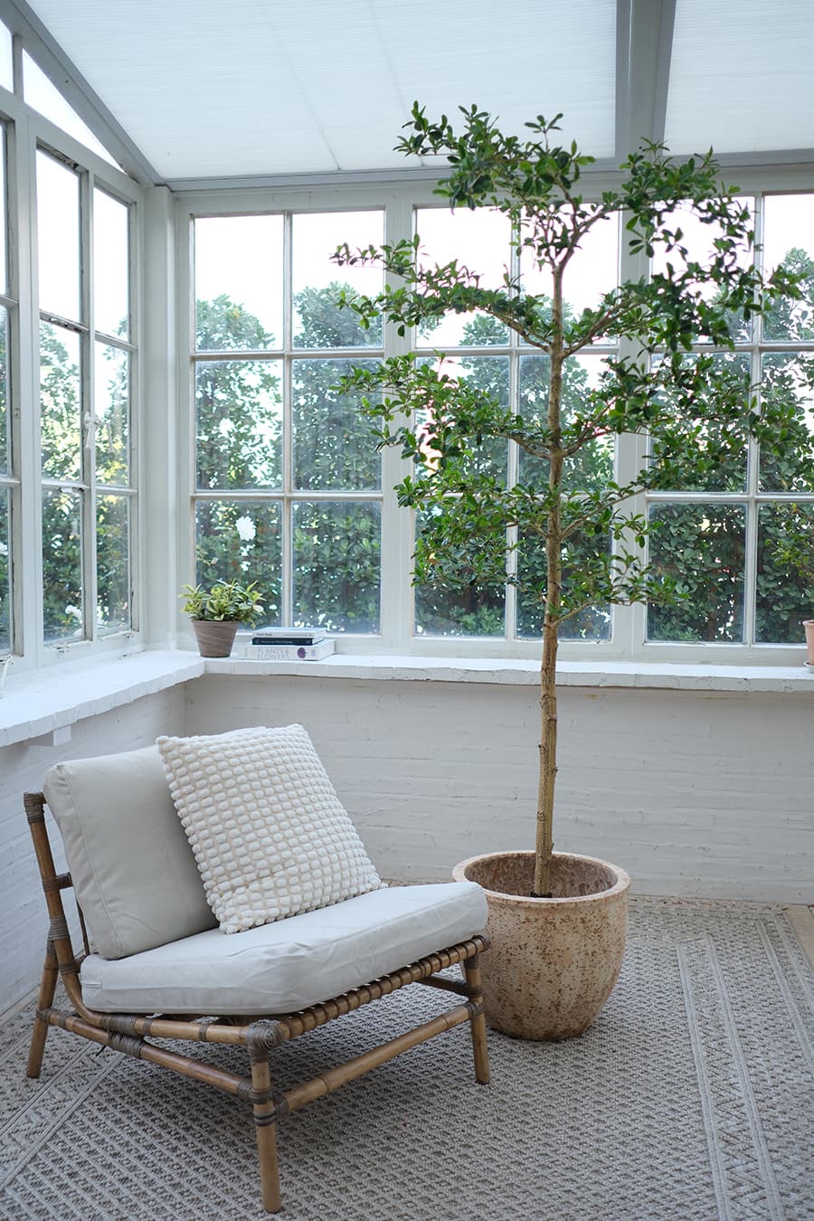 Large Artificial Plants Product 9