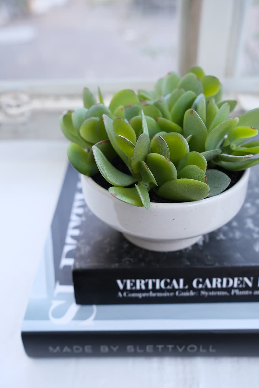 Decorative Items Product 4