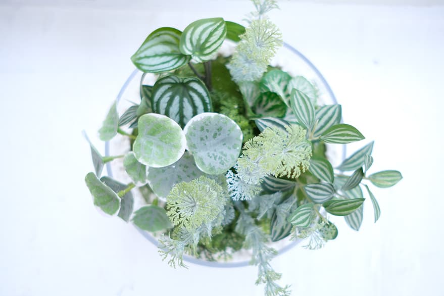 Decorative Items Product 7