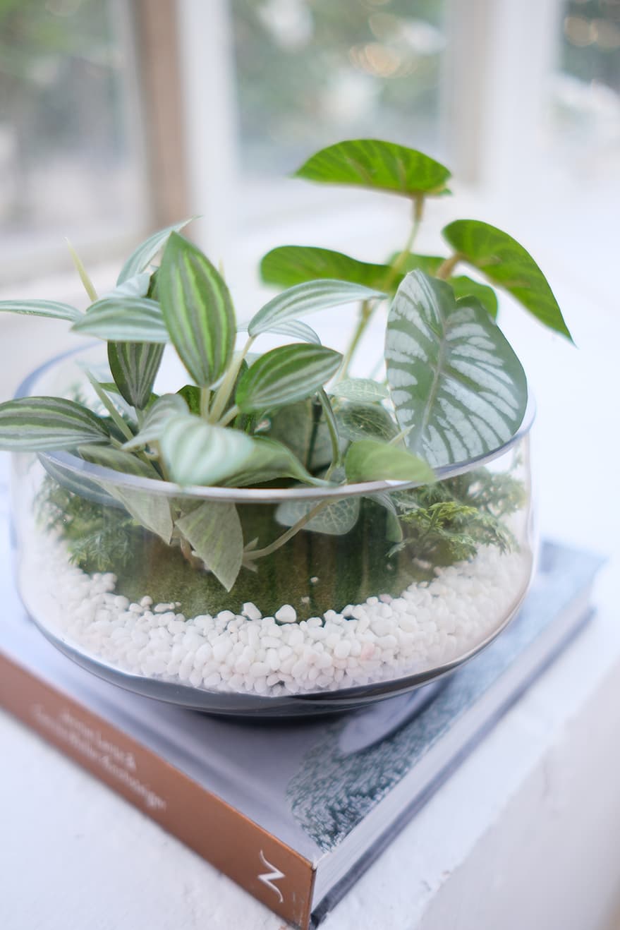 Decorative Items Product 8