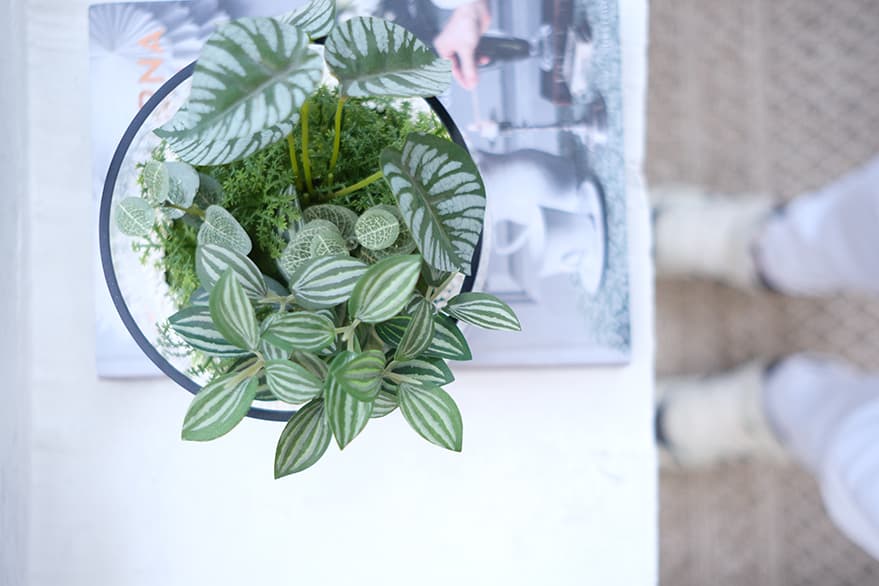 Decorative Items Product 9